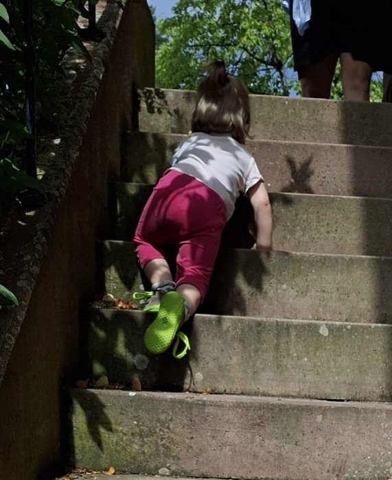 Ein Kind klettert auf allen vieren eine Steintreppe hinauf.